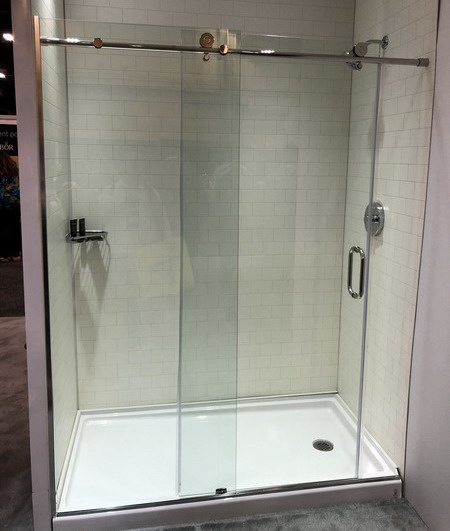 Shower Door